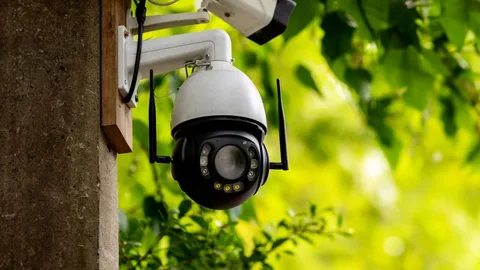 Top Outdoor Surveillance Cameras